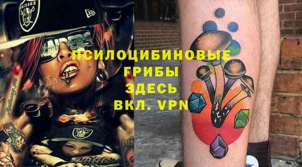 spice Дмитров