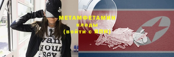 индика Елабуга
