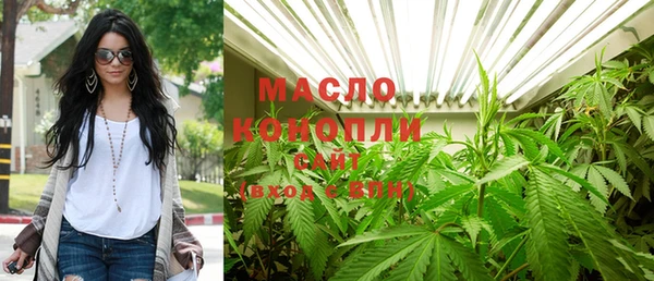 дмт Дмитриев