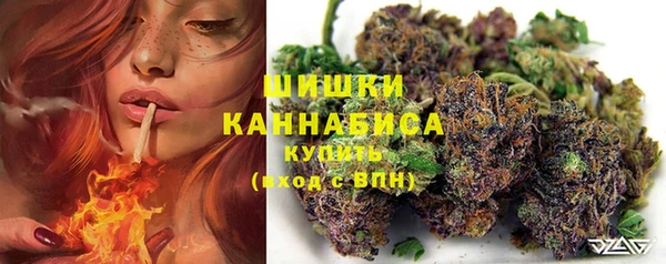 дмт Дмитриев