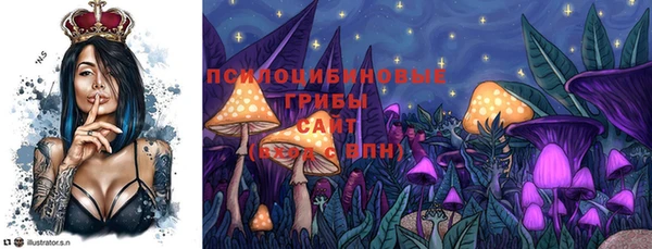 дмт Дмитриев