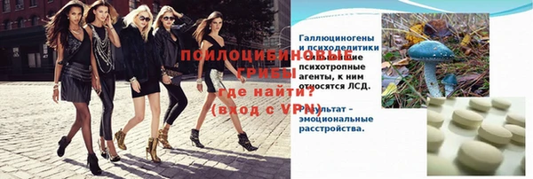spice Дмитров