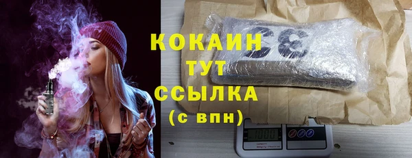 дмт Дмитриев