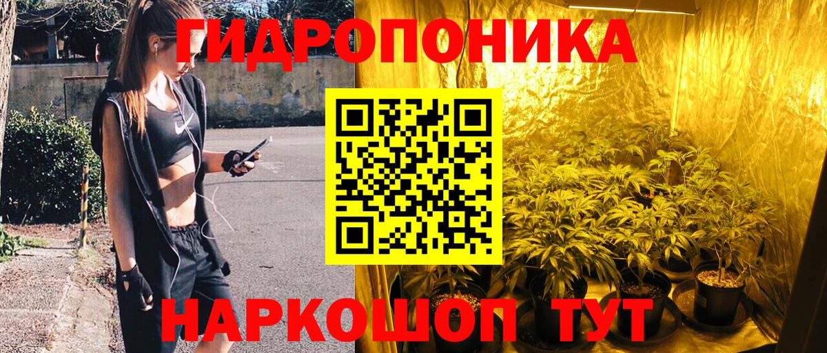 Бошки Шишки планчик  Бошки марихуана AK-47  Шишки марихуана конопля  Фрязино  Шишки марихуана индика  Вход с VPN 